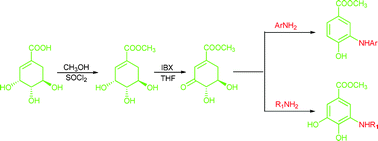 Graphical abstract: Bio-based synthesis of secondary arylamines from (−)-shikimic acid