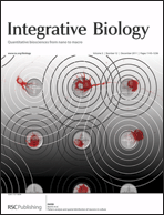 Graphical abstract: Inside front cover