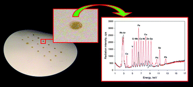 Graphical abstract: Liquid-phase microextraction as an attractive tool for multielement trace analysis in combination with X-ray fluorescence spectrometry: an example of simultaneous determination of Fe, Co, Zn, Ga, Se and Pb in water samples