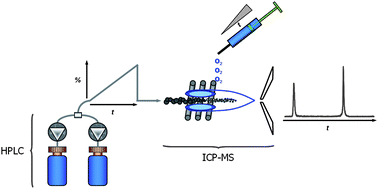 Graphical abstract: Development of an oxygen-gradient system to overcome plasma instabilities during HPLC/ICP-MS measurements using gradient elution