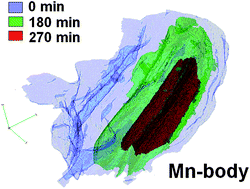 Graphical abstract: Evaluation of manganese-bodies removal in historical stained glass windows via SR-μ-XANES/XRF and SR-μ-CT