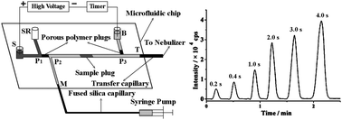 Graphical abstract: A microfluidic system for introduction of nanolitre sample in inductively coupled plasma mass spectrometry using electrokinetic flow combined with hydrodynamic flow