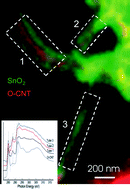 Graphical abstract: Structural variation and water adsorption of a SnO2 coated carbon nanotube: a nanoscale chemical imaging study