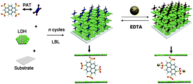 Graphical abstract: Fabrication of pyrenetetrasulfonate/layered double hydroxide ultrathin films and their application in fluorescence chemosensors