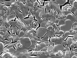 Graphical abstract: Sol–gel processing of silicon nitride films from Si(NHMe)4 and ammonia