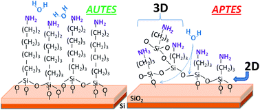 Graphical abstract: Control and stability of self-assembled monolayers under biosensing conditions