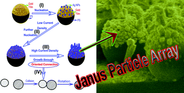 Graphical abstract: Janus particle arrays with multiple structural controlling abilities synthesized by seed-directed deposition