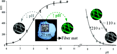 Graphical abstract: Design and synthesis by ATRP of novel, water-insoluble, lineal copolymers and their application in the development of fluorescent and pH-sensing nanofibres made by electrospinning