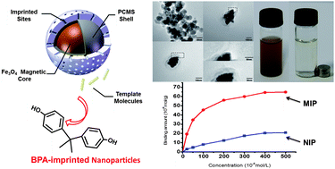 Graphical abstract: A novel polychloromethylstyrene coated superparamagnetic surface molecularly imprinted core–shell nanoparticle for bisphenol A