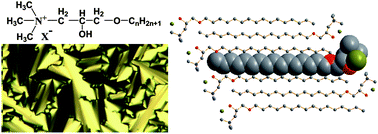 Graphical abstract: Ionic liquid crystals of quaternary ammonium salts with a 2-hydroxypropoxy insertion group