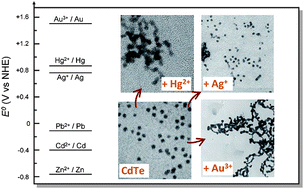 Graphical abstract: The room-temperature structural and optical transformation of cadmium chalcogenide quantum dots triggered by reactive cations