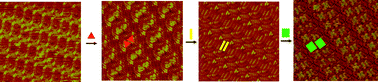 Graphical abstract: Competitive adsorption and dynamics of guest molecules in 2D molecular sieves