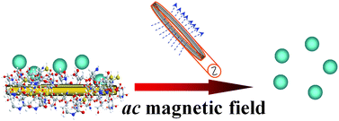 Graphical abstract: Mechanoresponsive system based on sub-micron chitosan-functionalized ferromagnetic disks