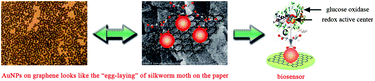 Graphical abstract: Fabrication of gold nanoparticles on bilayer graphene for glucose electrochemical biosensing