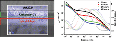 Graphical abstract: Self-healing protective coatings with “green” chitosan based pre-layer reservoir of corrosion inhibitor