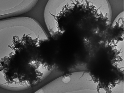 Graphical abstract: Controlled fabrication of highly conductive three-dimensional flowerlike poly (3,4-ethylenedioxythiophene) nanostructures