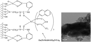 Graphical abstract: Preparation, characterization and luminescence properties of ternary europium complexes covalently bonded to titania and mesoporous SBA-15