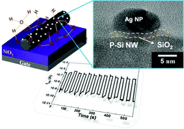 Graphical abstract: Intrinsic memory behavior of rough silicon nanowires and enhancement via facile Ag NPs decoration