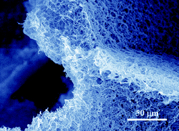 Graphical abstract: 3D nanofibrous scaffolds for tissue engineering