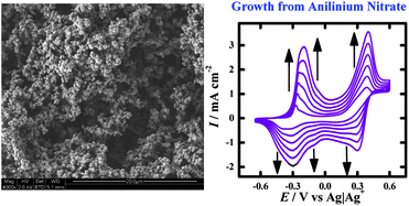 Graphical abstract: A comparative study of the electrodeposition of polyaniline from a protic ionic liquid, an aprotic ionic liquid and neutral aqueous solution using anilinium nitrate