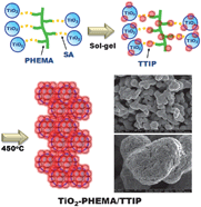 Graphical abstract: Formation of mesoporous TiO2 with large surface areas, interconnectivity and hierarchical pores for dye-sensitized solar cells