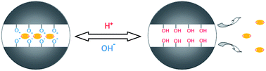 Graphical abstract: pH-responsive mitoxantrone (MX) delivery using mesoporous silica nanoparticles (MSN)