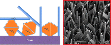 Graphical abstract: Synthesis of quasi-oriented α-MoO3 nanobelts and nanoplatelets on TiO2 coated glass