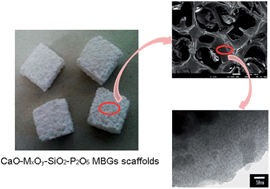 Graphical abstract: Composition–structure–property relationships of the CaO–MxOy–SiO2–P2O5 (M = Zr, Mg, Sr) mesoporous bioactive glass (MBG) scaffolds