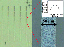Graphical abstract: A drastic reduction in silver concentration of metallic ink by the use of single-walled carbon nanotubes decorated with silver nanoparticles