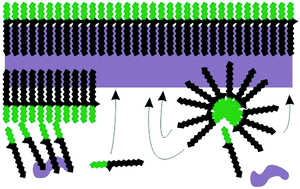 Mesoporous titanium dioxide films using partially fluorinated ...