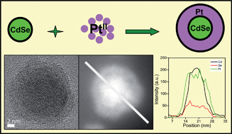Graphical abstract: Core-shell CdSe@Pt nanocomposites with superior electrocatalytic activity enhanced by lateral strain effect