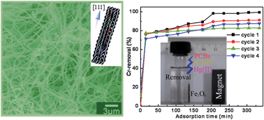 Graphical abstract: Protein assisted hydrothermal synthesis of ultrafine magnetite nanoparticle built-porous oriented fibers and their structurally enhanced adsorption to toxic chemicals in solution