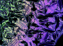 Graphical abstract: Fluorocarbon and hydrocarbon end groups: effects on mesomorphism and physical properties of smectic liquid crystals