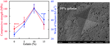 Graphical abstract: Bio-inspired calcium silicate–gelatin bone grafts for load-bearing applications