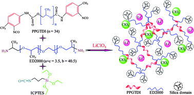 Graphical abstract: A new highly conductive organic-inorganic solid polymer electrolyte based on a di-ureasil matrix doped with lithium perchlorate