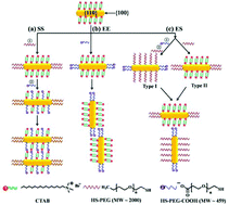 Graphical abstract: Rational design and SERS properties of side-by-side, end-to-end and end-to-side assemblies of Au nanorods