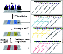 Graphical abstract: Patterned fluorescence films with reversible thermal response based on the host–guest superarchitecture