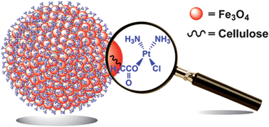 Graphical abstract: Superparamagnetic magnetite nanocrystal clusters as potential magnetic carriers for the delivery of platinum anticancer drugs