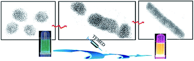 Graphical abstract: Effects of N,N,N′,N′-tetramethylethylenediamine on the properties of CdTe quantum dots