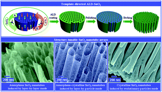 Graphical abstract: Three growth modes and mechanisms for highly structure-tunable SnO2 nanotube arrays of template-directed atomic layer deposition