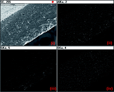 Graphical abstract: Irradiated PVdF-HFP-montmorillonite composite membranes for the application of direct ethanol fuel cells
