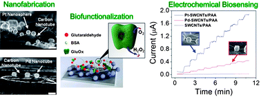 Graphical abstract: Electrochemical glutamate biosensing with nanocube and nanosphere augmented single-walled carbon nanotube networks: a comparative study