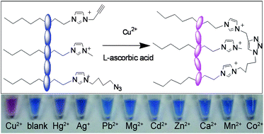 Graphical abstract: Visual detection of copper ions based on azide- and alkyne-functionalized polydiacetylene vesicles