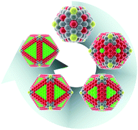 Graphical abstract: Kinetic modelling of the shape-dependent evolution of faceted gold nanoparticles