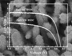 Graphical abstract: Room-temperature synthesis of hierarchical nanostructures on ZnO nanowire anodes for dye-sensitized solar cells