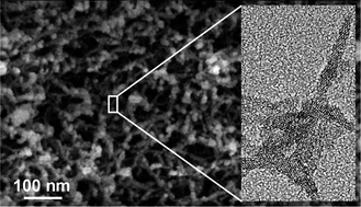 Graphical abstract: Template-free co-assembly of preformed Au and TiO2 nanoparticles into multicomponent 3D aerogels