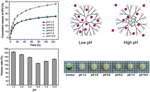 Graphical abstract: Low swelling hyperbranched poly(amine-ester) hydrogels for pH-modulated differential release of anticancer drugs