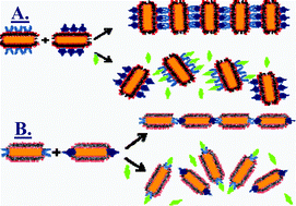 Graphical abstract: Gold nanorod ensembles as artificial molecules for applications in sensors