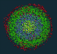 Graphical abstract: Molecular dynamics simulations of a bioactive glass nanoparticle