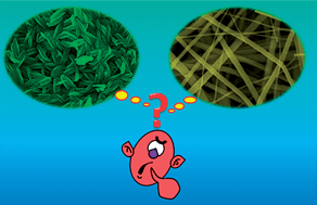 Graphical abstract: Which is a superior material for scattering layer in dye-sensitized solar cells—electrospun rice grain- or nanofiber-shaped TiO2?